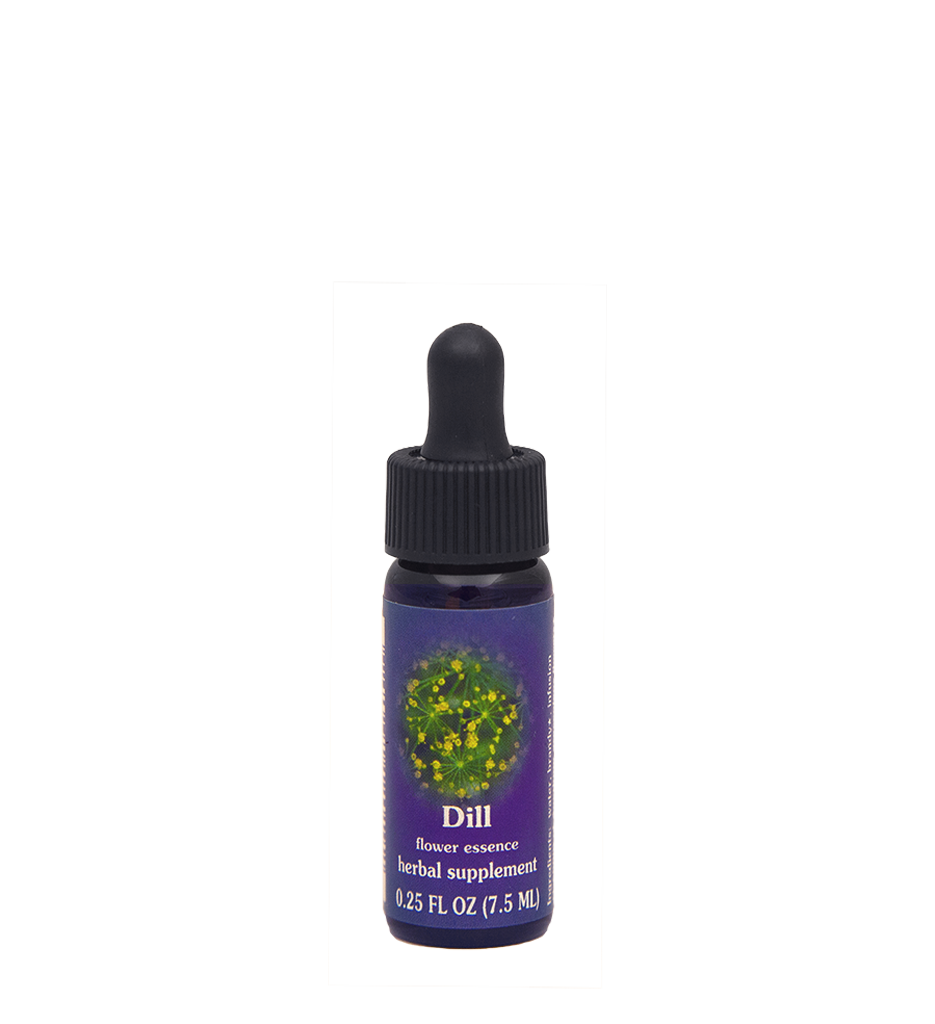 FES Flower Essences: Dill
