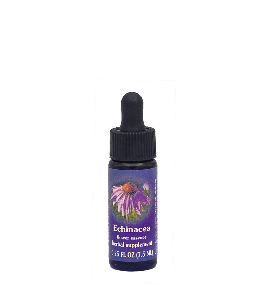 FES Flower Essences: Echinacea