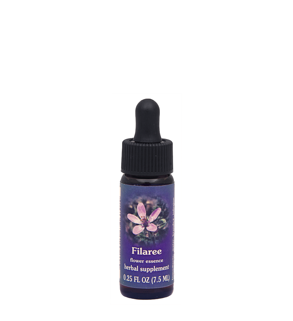 FES Flower Essences: Filaree