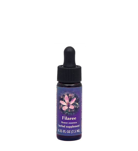 FES Flower Essences: Filaree
