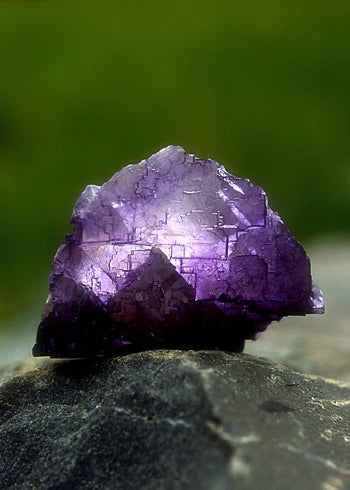 Alaskan Essences: Fluorite