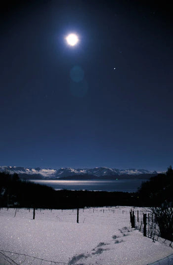 Alaskan Essences: Full Moon Reflection