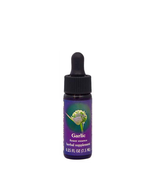 FES Flower Essences: Garlic