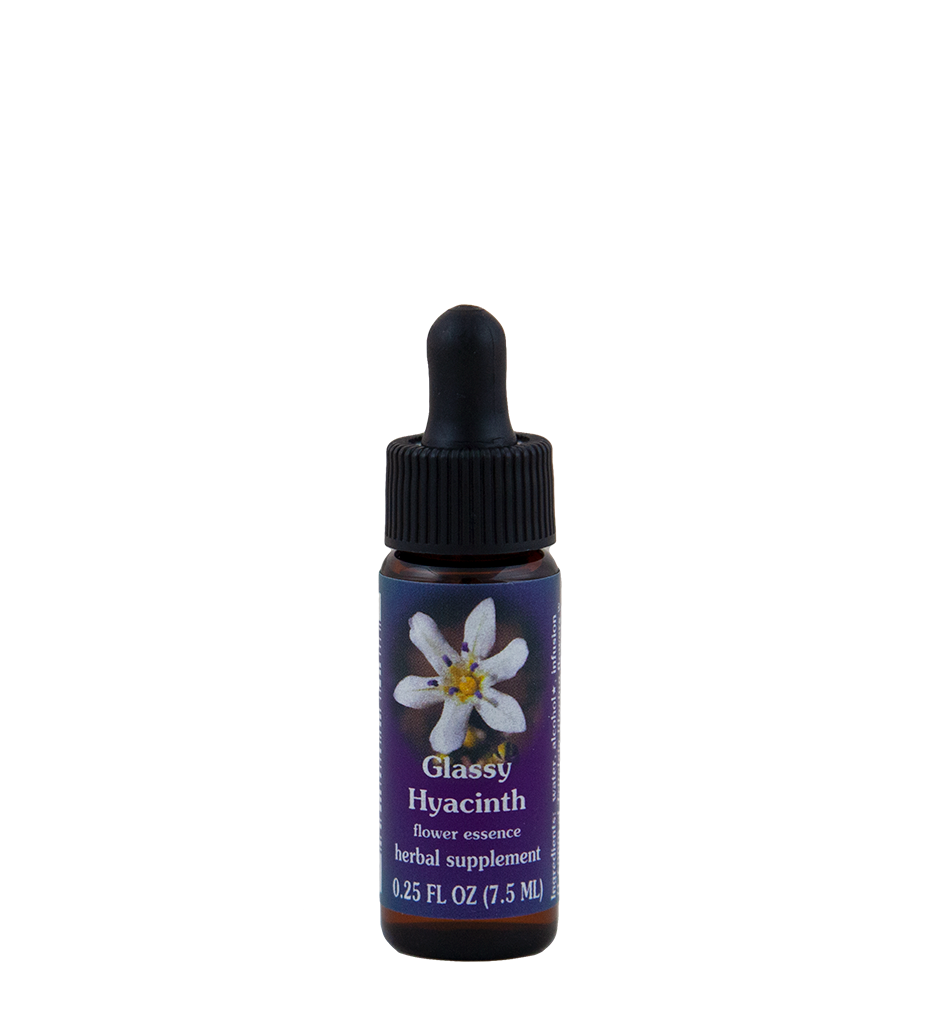 FES Flower Essences: Glassy Hyacinth