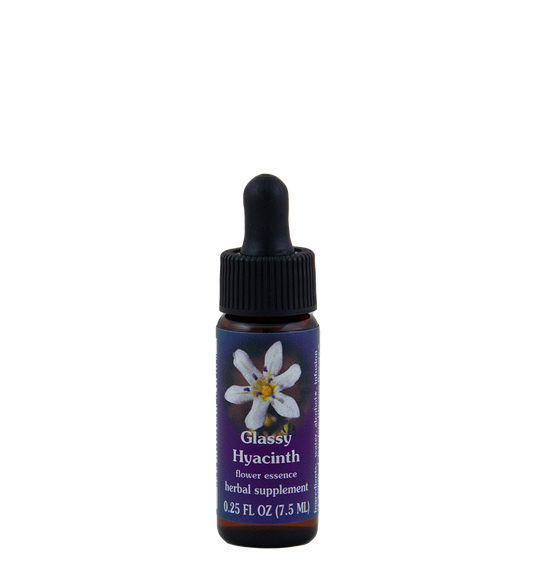 FES Flower Essences: Glassy Hyacinth