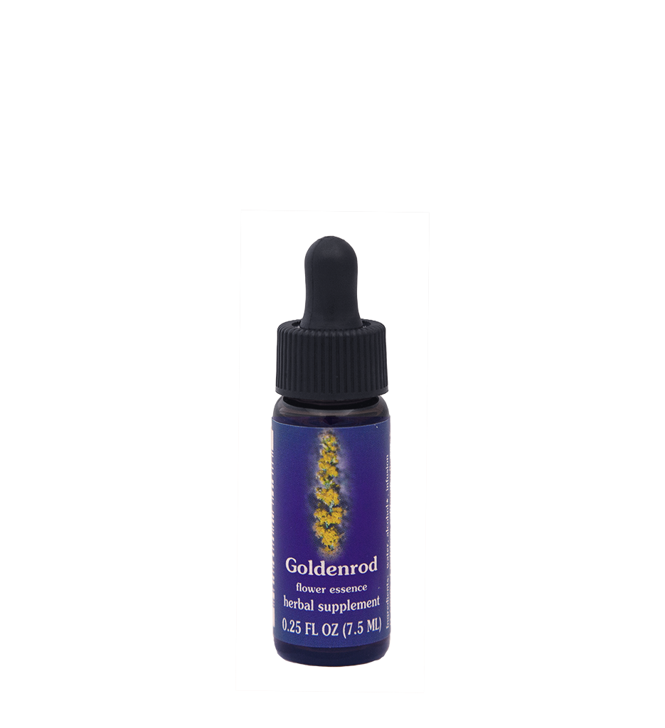 FES Flower Essences: Goldenrod