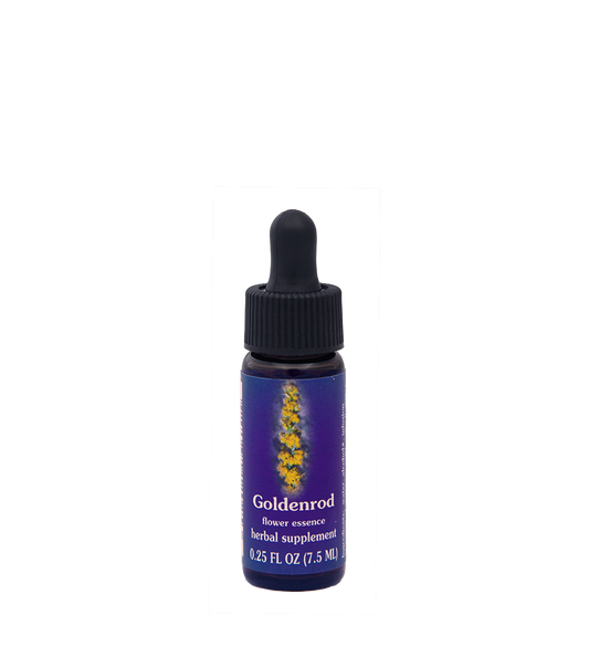 FES Flower Essences: Goldenrod