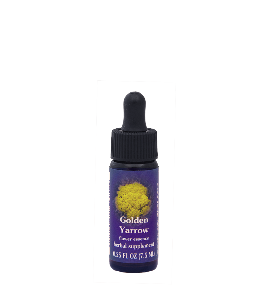 FES Flower Essences: Golden Yarrow