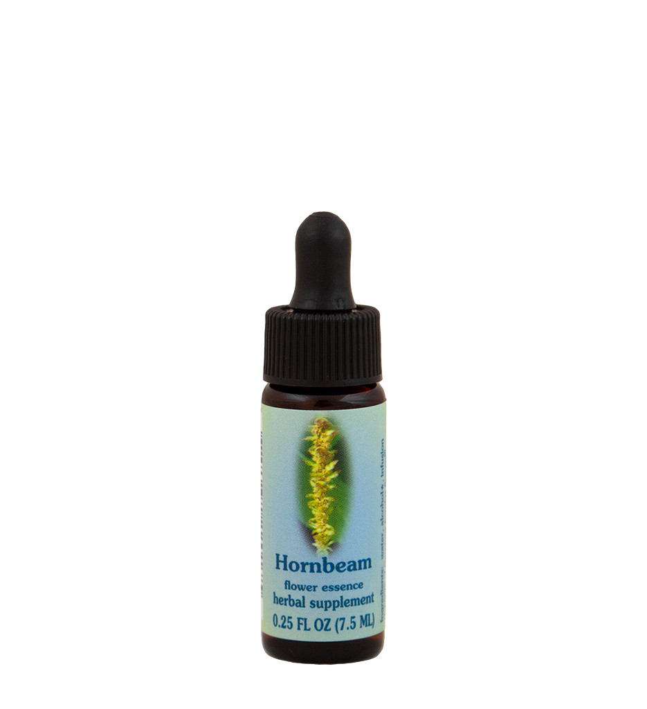 FES Flower Essences: Hornbeam