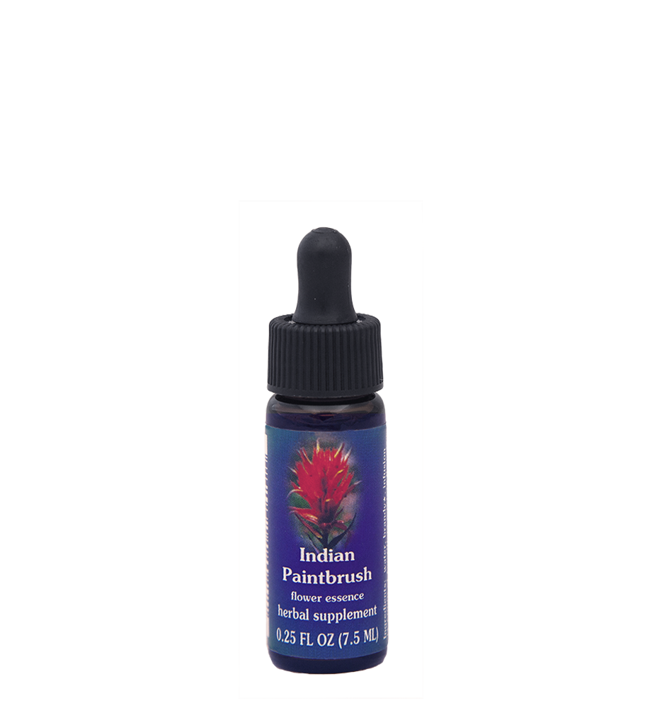 FES Flower Essences: Indian Paintbrush