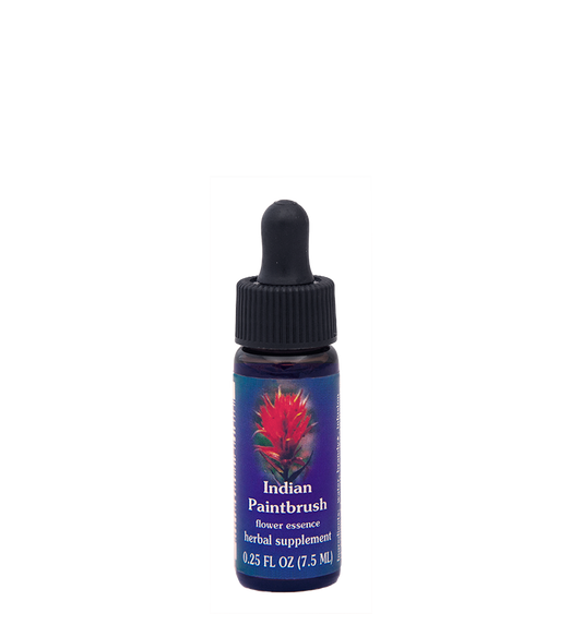 FES Flower Essences: Indian Paintbrush