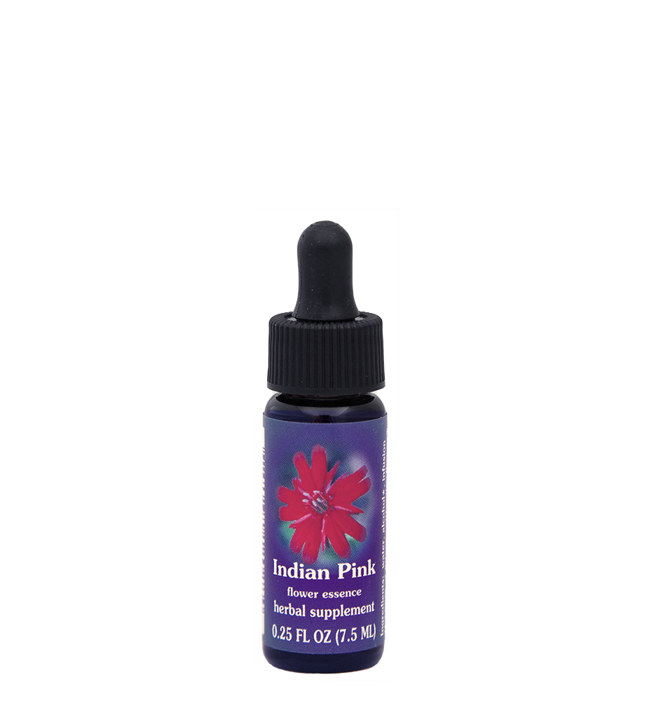 FES Flower Essences: Indian Pink