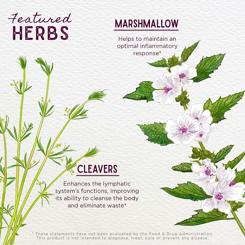 WishGarden Herbs: Kidney Strength (2 oz)
