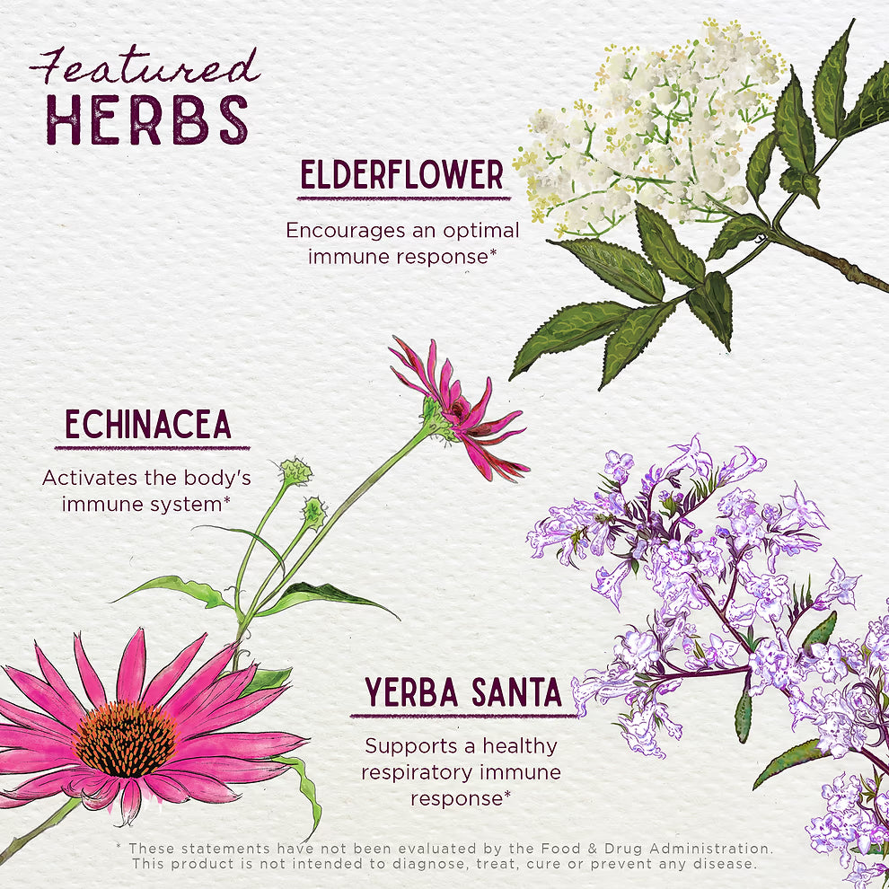 Wishgarden Herbs: Kick-Ass Immune Activator (2 oz)