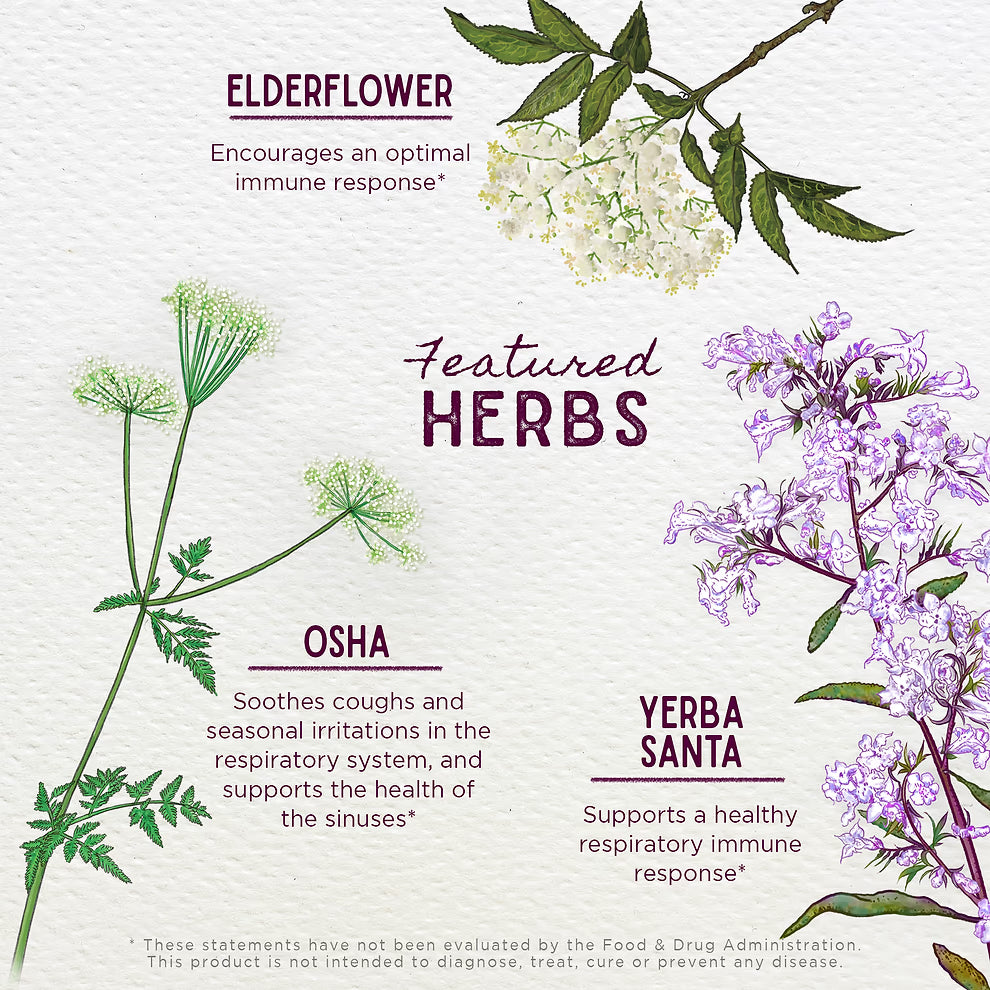 Wishgarden Herbs: Kick-It Allergy (Kids)