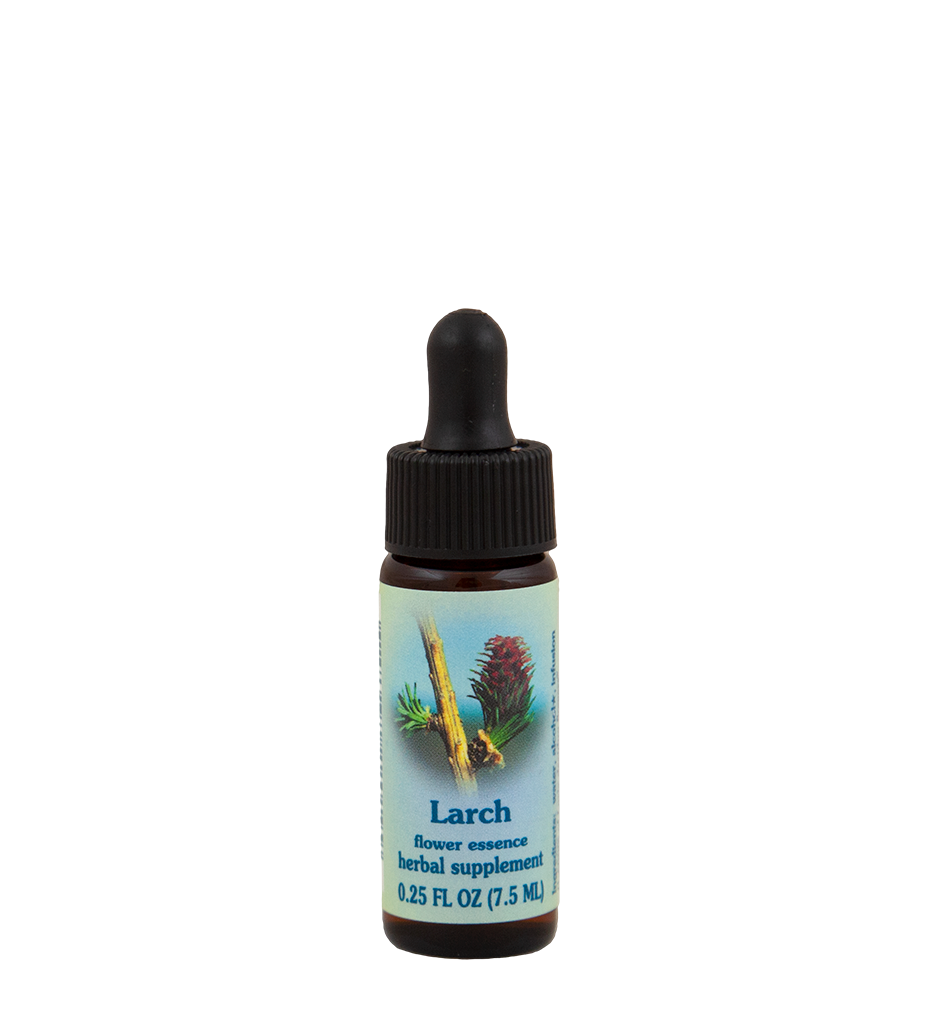 FES Flower Essences: Larch