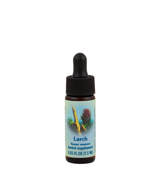 FES Flower Essences: Larch