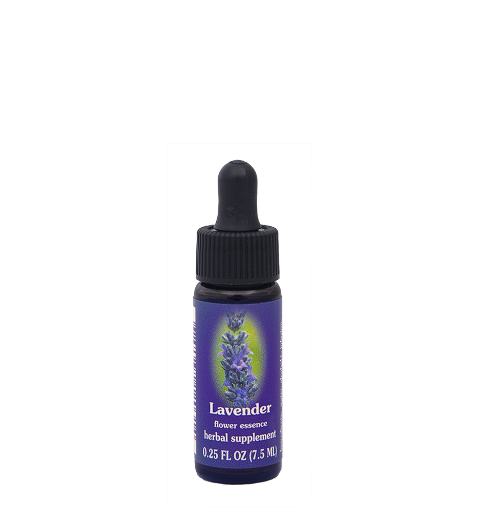 FES Flower Essences: Lavender