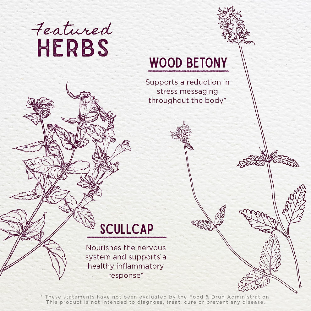 WishGarden Herbs: Serious Relaxer (1 oz)