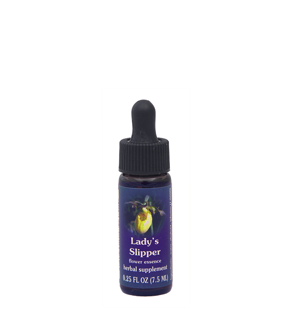 FES Flower Essences: Lady's Slipper