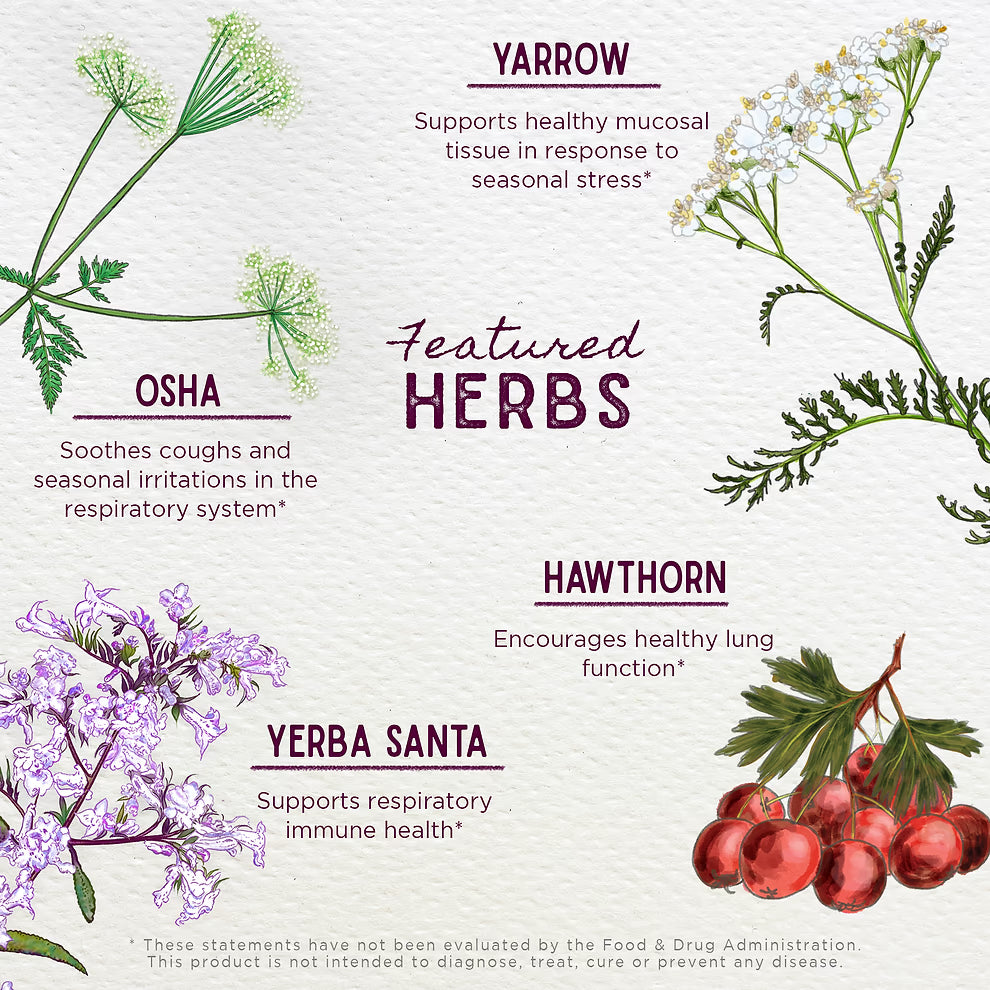WishGarden Herbs: Deep Lung (2 oz)