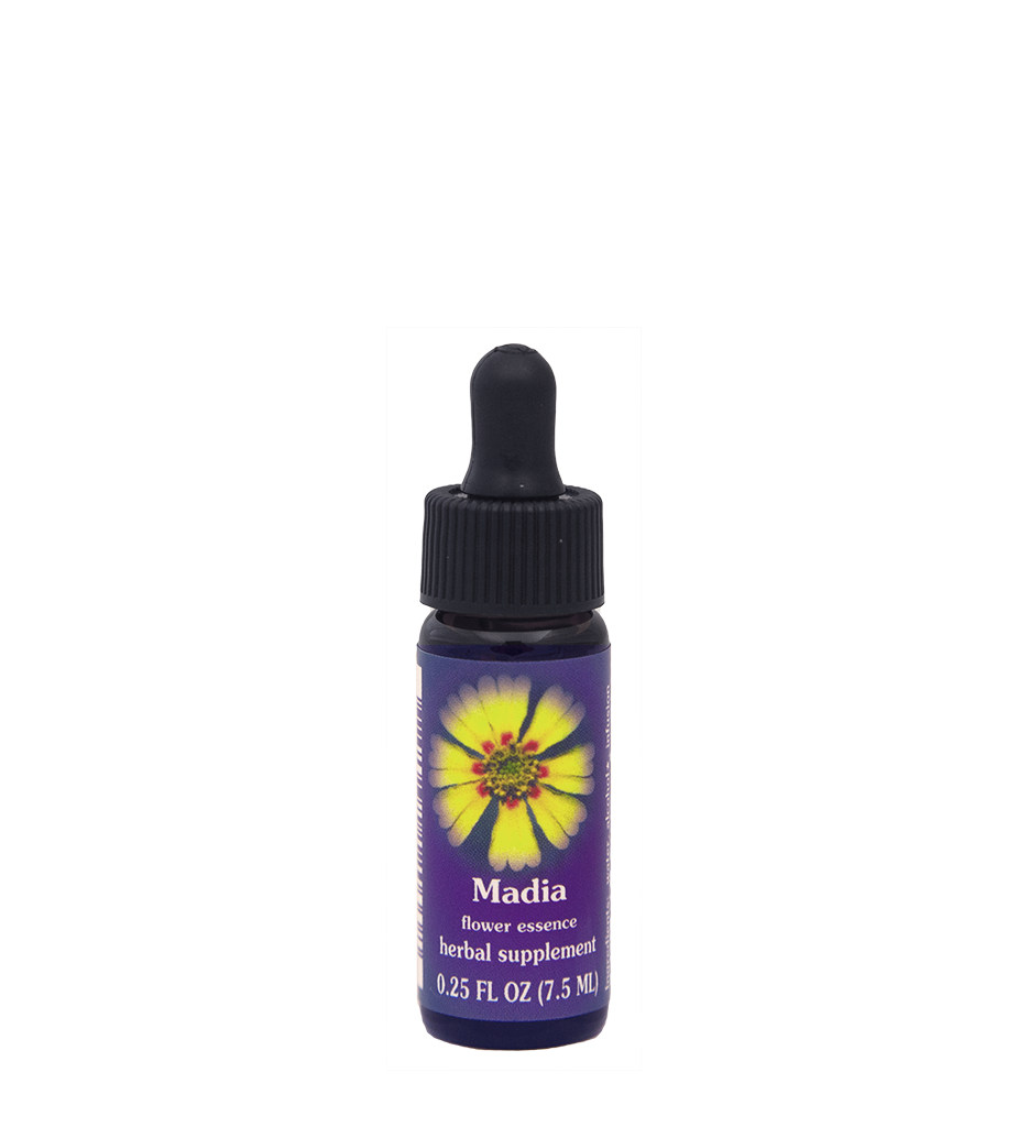 FES Flower Essences: Madia