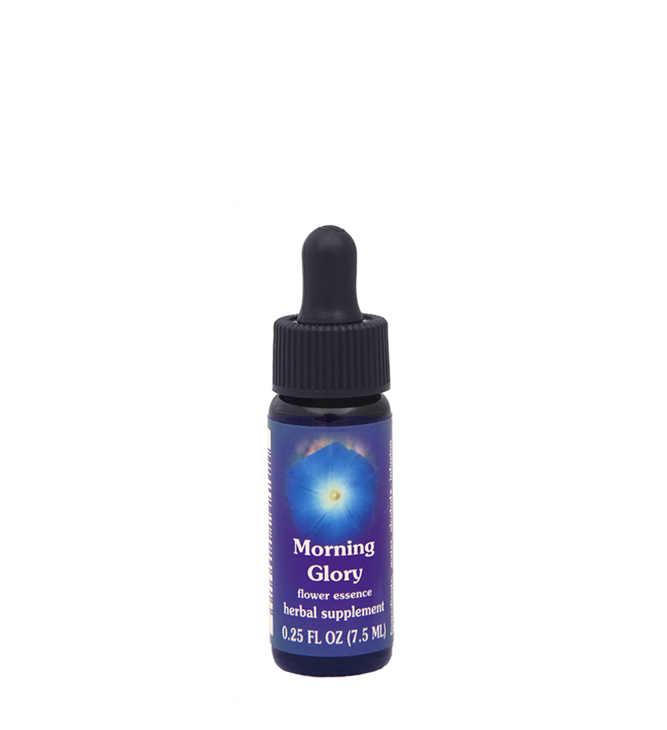 FES Flower Essences: Morning Glory