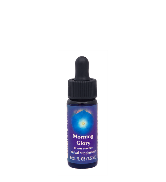 FES Flower Essences: Morning Glory