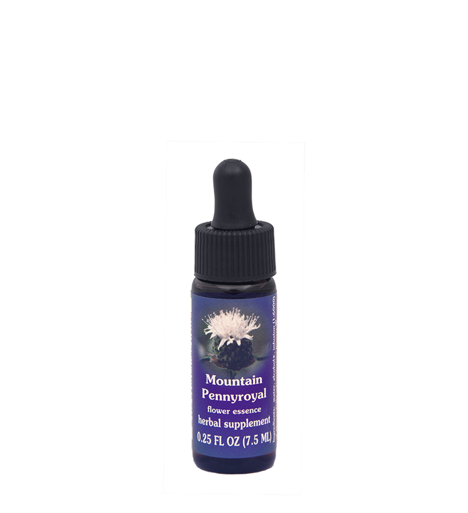 FES Flower Essences: Mountain Pennyroyal