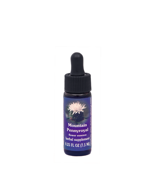 FES Flower Essences: Mountain Pennyroyal