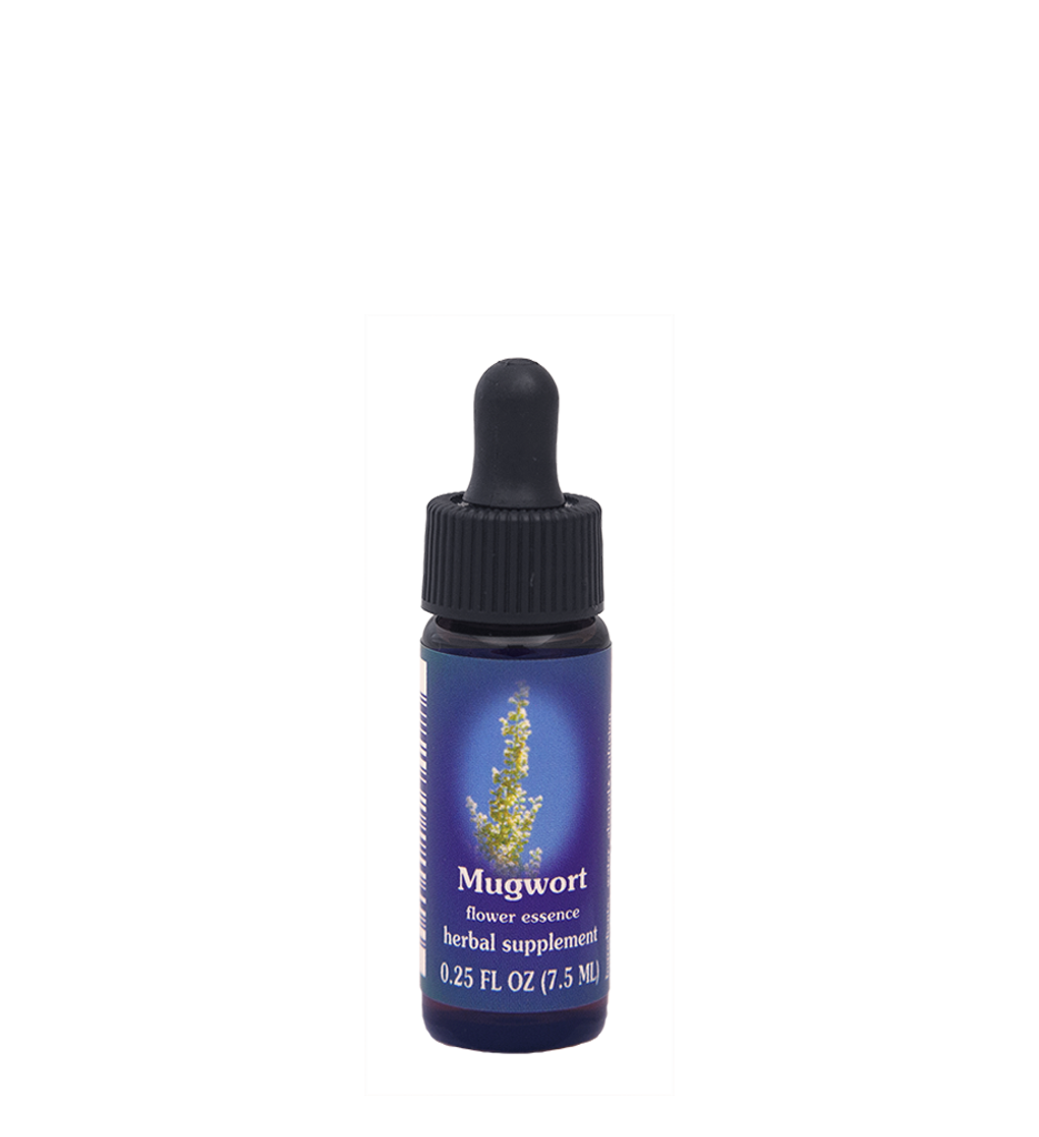 FES Flower Essences: Mugwort