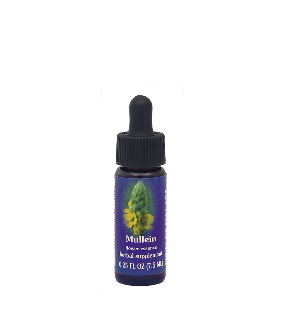 FES Flower Essences: Mullein