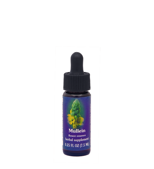 FES Flower Essences: Mullein