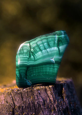 Alaskan Essences: Malachite