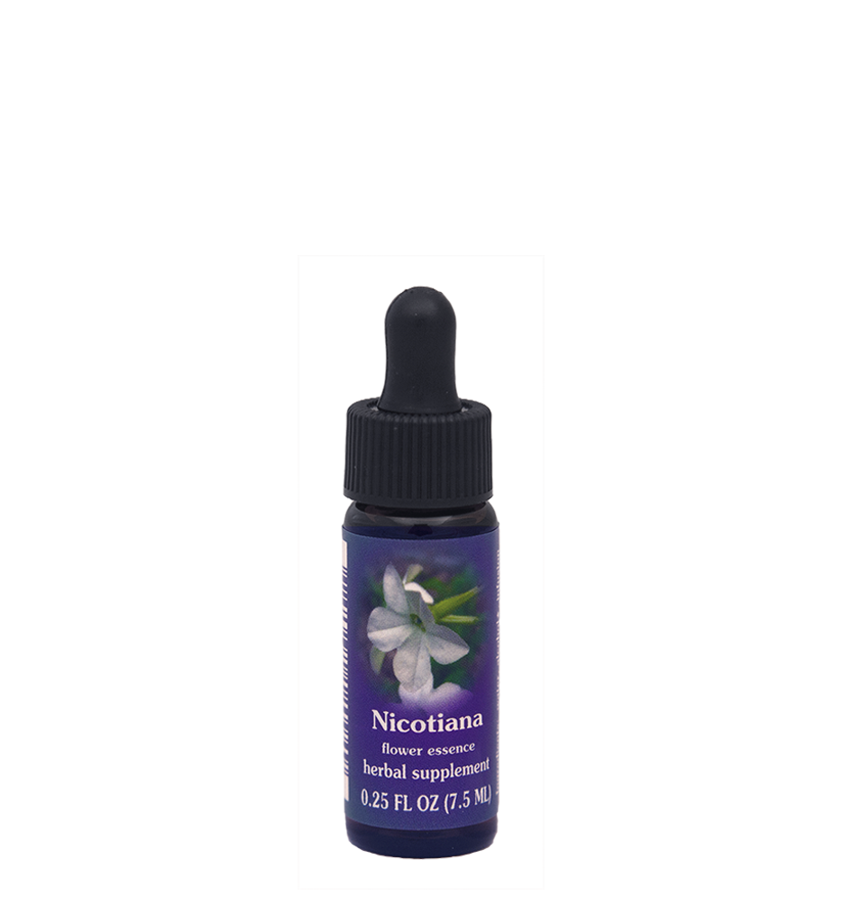 FES Flower Essences: Nicotiana