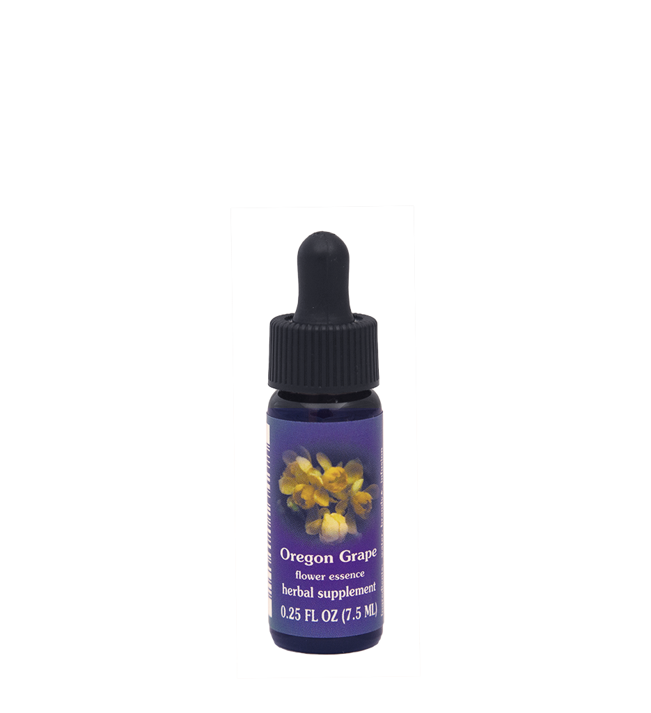 FES Flower Essences: Oregon Grape