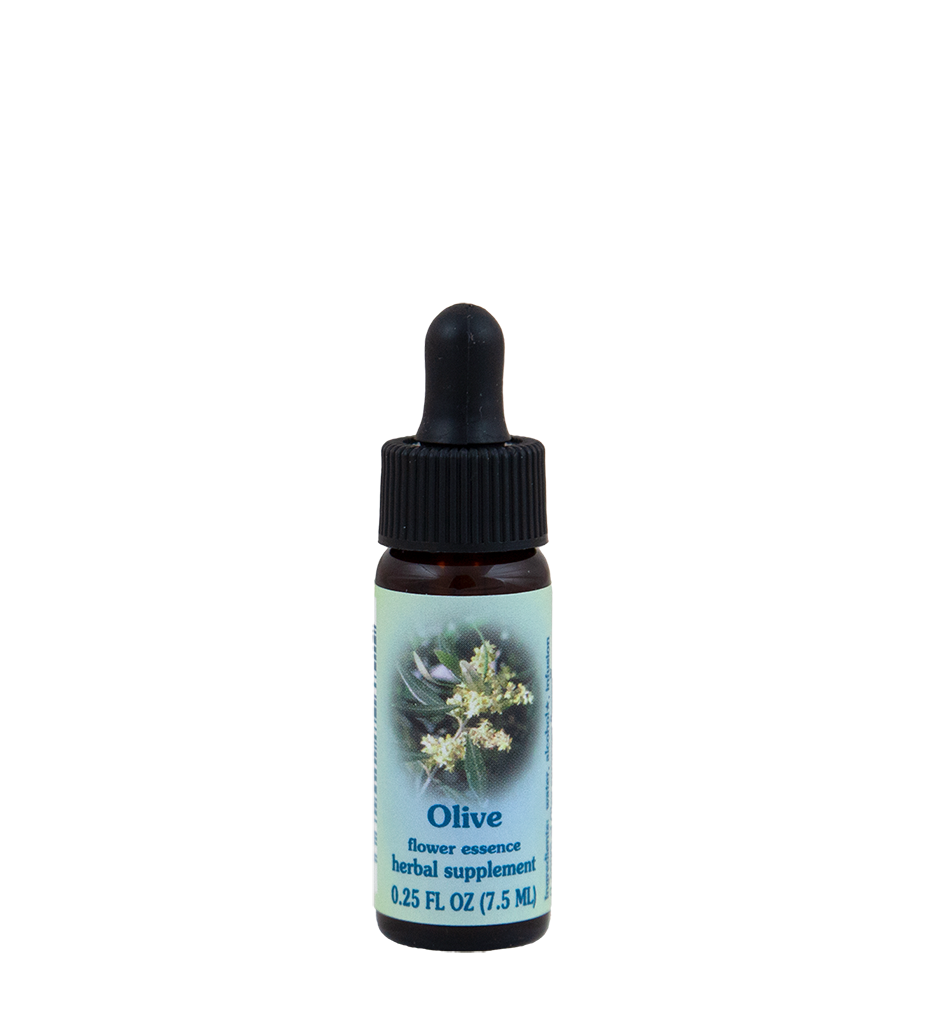 FES Flower Essences: Olive