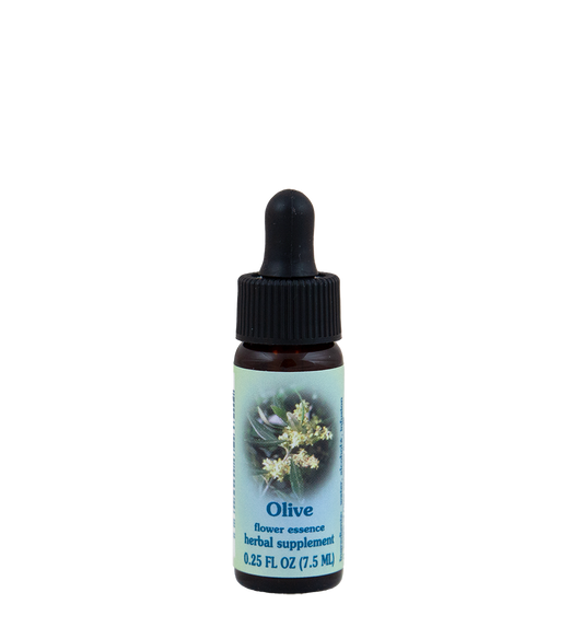 FES Flower Essences: Olive