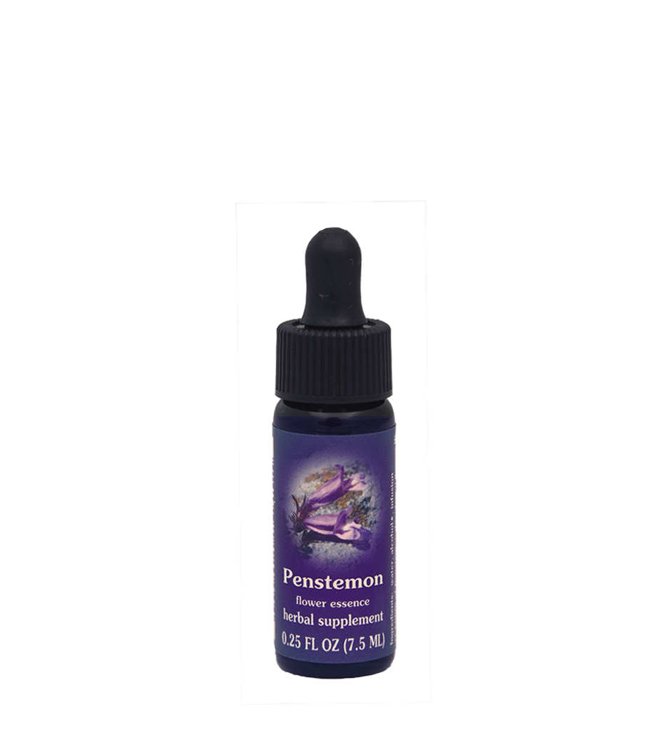 FES Flower Essences: Penstemon