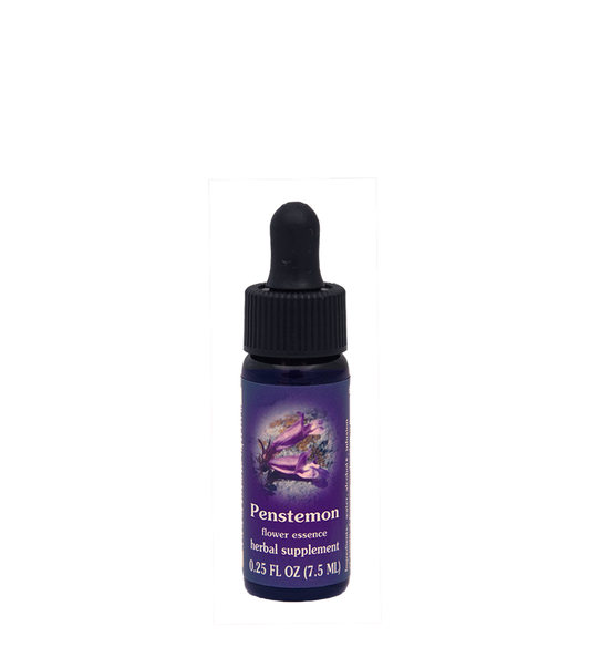 FES Flower Essences: Penstemon
