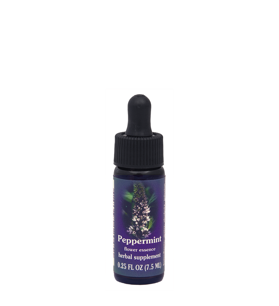 FES Flower Essences: Peppermint