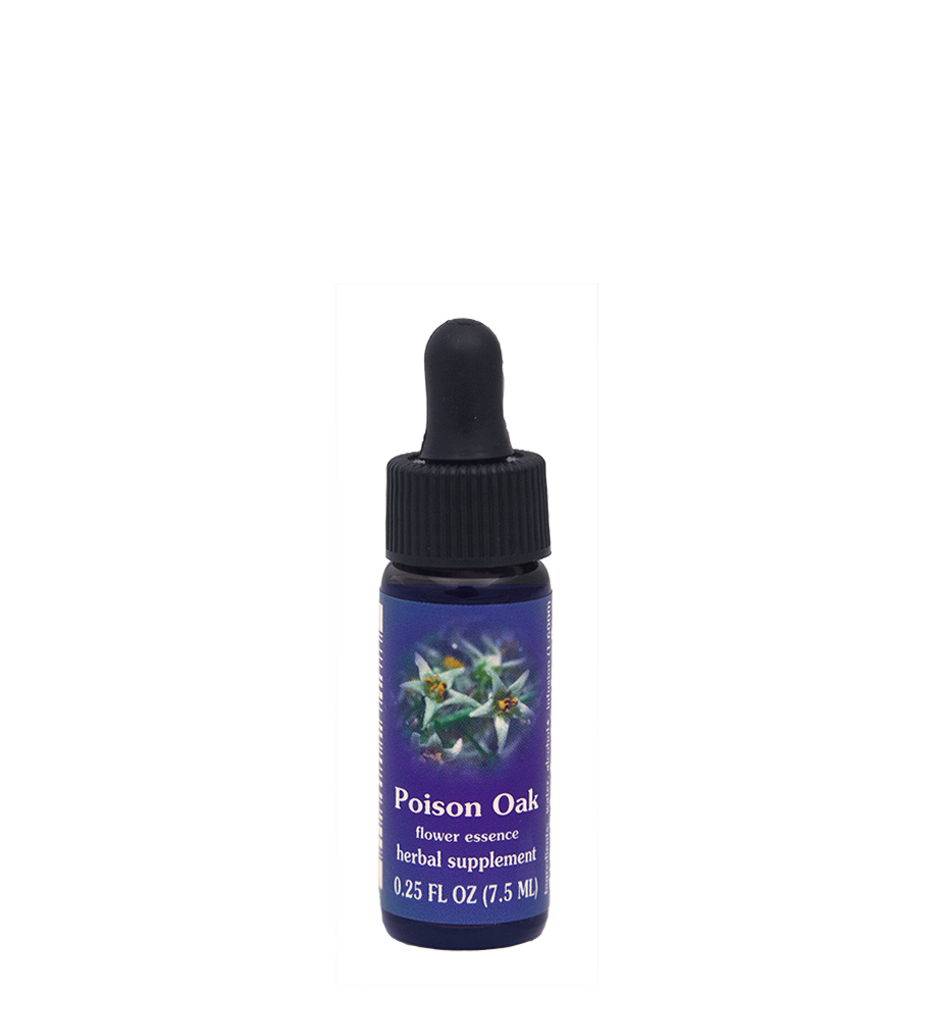 FES Flower Essences: Poison Oak