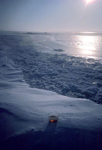 Alaskan Essences: Polar Ice