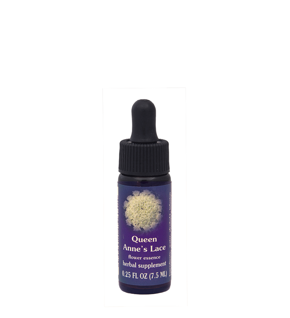 FES Flower Essences: Queen Anne's Lace