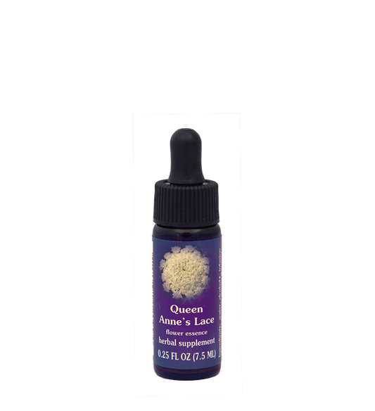 FES Flower Essences: Queen Anne's Lace