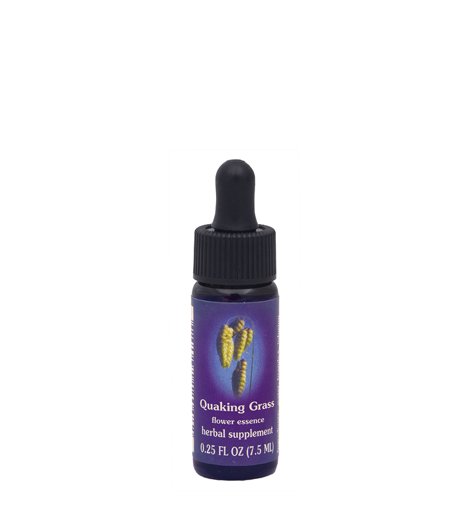 FES Flower Essences: Quaking Grass