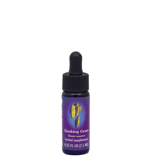 FES Flower Essences: Quaking Grass