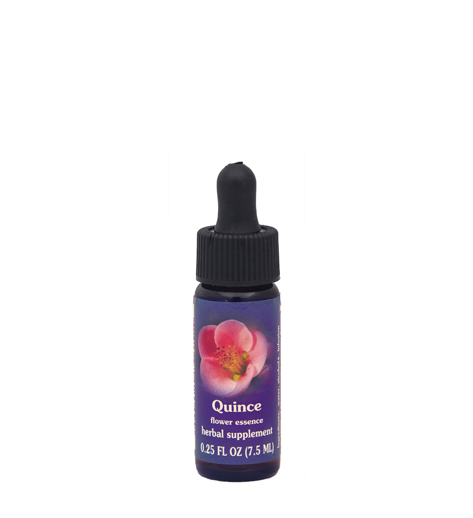 FES Flower Essences: Quince