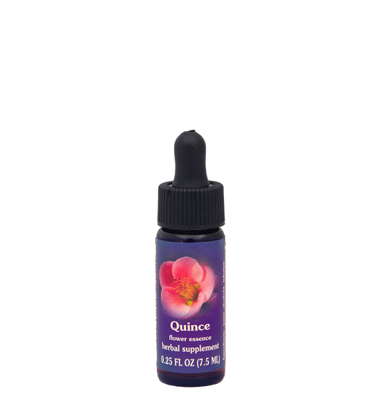 FES Flower Essences: Quince