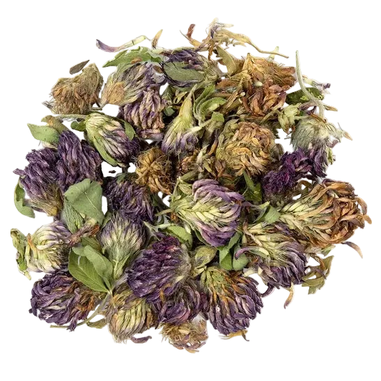 Bulk: Red Clover Blossom - 1 oz